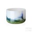 Riihim&auml;en Lasi Koralli ボウル 15,5 cm, 正面